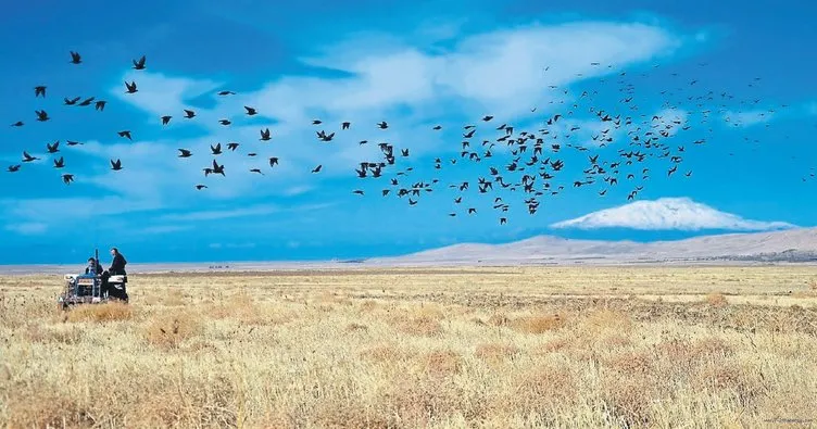 Ekonomiyi tarım kurtardı