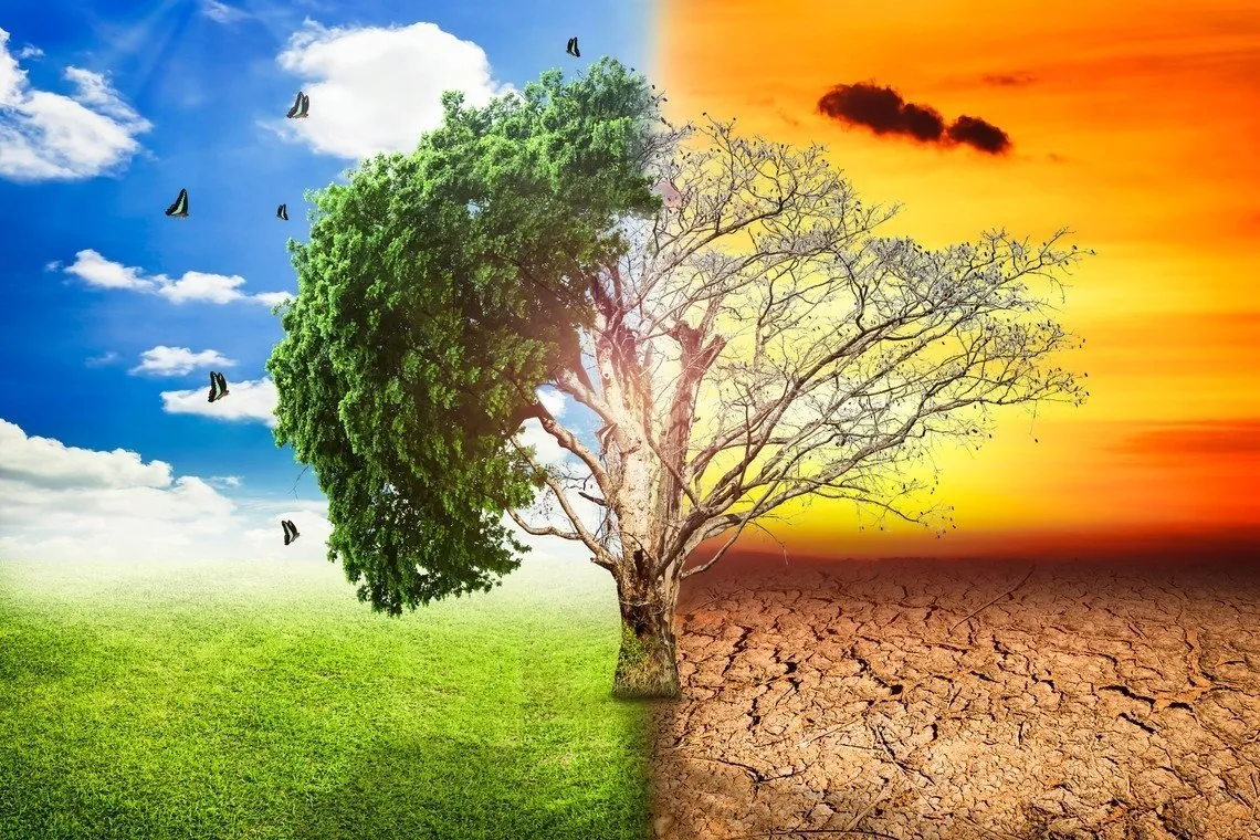 Picture background
