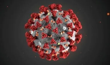 Fransız ilaç laboratuvarından son dakika corona virüsü haberi: ’Plaquenil ilacının corona virüsü tedavisinde kullanılması için test...