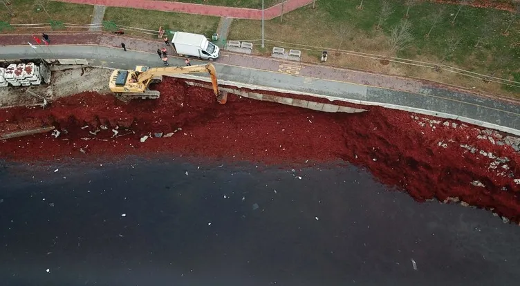 Caddebostan'da ilginç görüntü! Sahil kızıla büründü