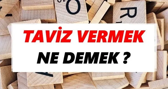 Taviz vermek Ne Demek? TDK’ya Göre Taviz vermek Sözlük Anlamı Nedir?