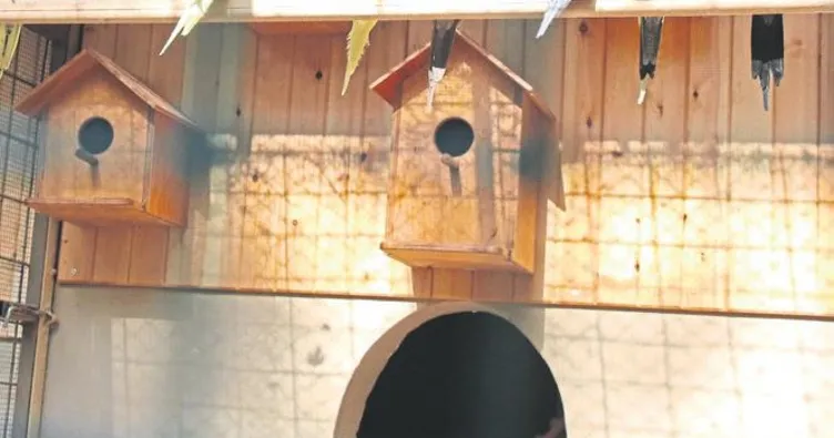 Aşık ile Maşuk büyük ilgi çekti