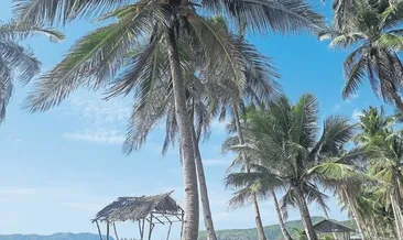 Kimseyi görmedim ben senden daha güzel