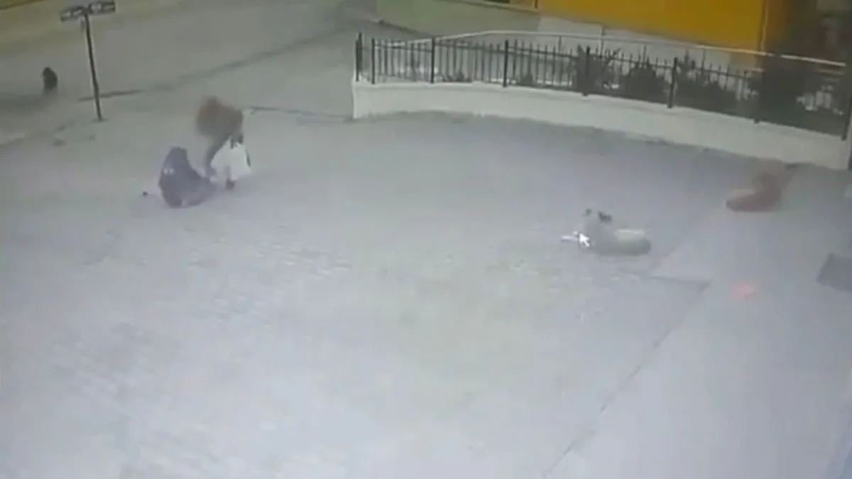 Ankara’da yine başıboş köpek dehşeti: Markete giderken saldırdı!