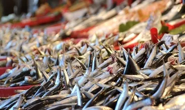 Balık fiyatları düştü