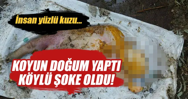 İnsan yüzlü kuzu görenleri şaşırttı