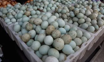 Mavi Yumurtanın Faydaları Nelerdir? Mavi Yumurta Nasıl Pişirilir?