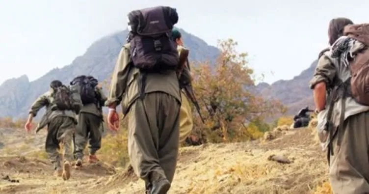 PKK’nın Türkiye’deki önemli ismi öldürüldü