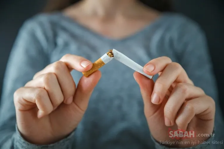 Bu haber size sigarayı bıraktıracak! İşte sigara dumanının ciddi zararları