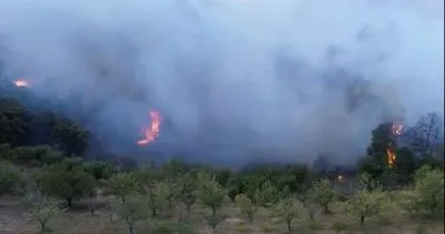 Bursa’da orman yangını