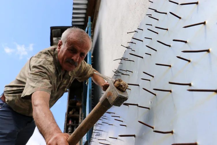 Korku filmi değil gerçek: Ayılardan korunmak için öyle bir yöntem denediler ki…