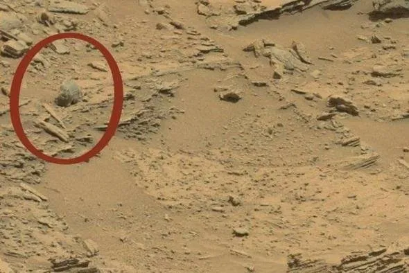 Uzayda hayat var mı sorusuna NASA'dan net yanıt... Bu kareleri ilk kez paylaştılar