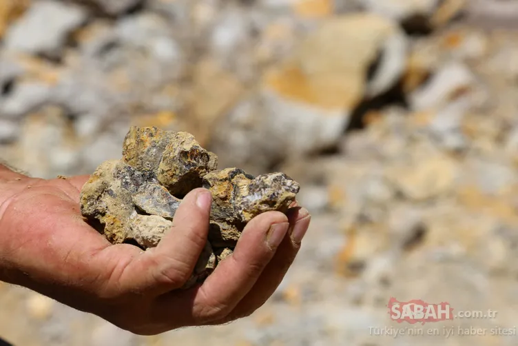 Köylüler yıllardır çıra niyetine yakıyordu! Meğer o madde....