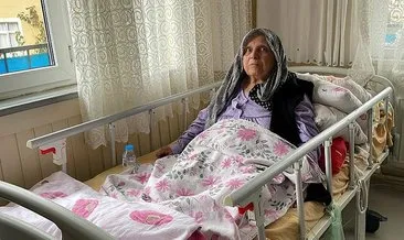 Pitbullun ısırdığı yaşlı kadın bacağından oldu #istanbul