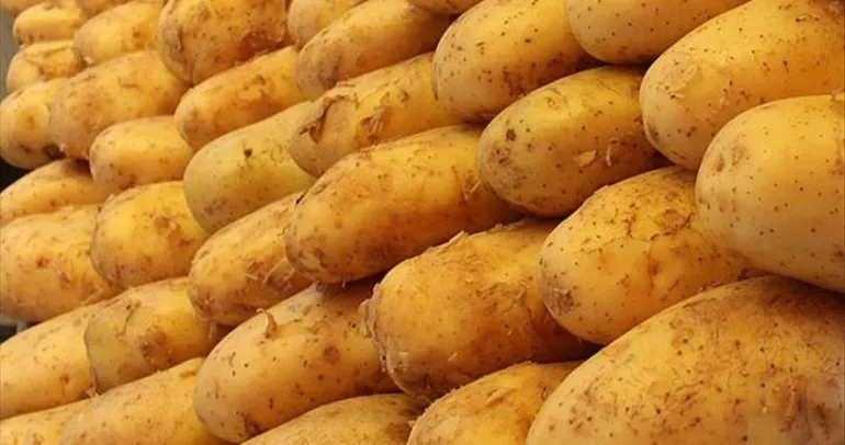 Avrupa’da patates krizi