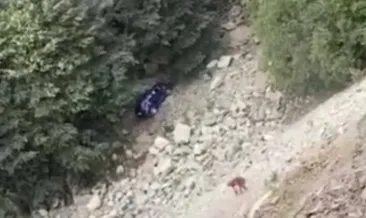 Fotoğraf çekmek için indiği araç uçuruma yuvarlandı, araçta bulunan kadın turist öldü #gumushane