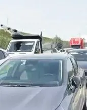 Bir arının yaptığına bak
