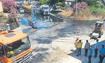 Çeşme’deki rezalete Bakanlık el koydu