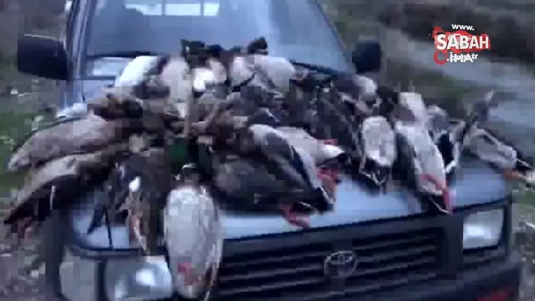 Kuş Cenneti'nde ördek katliamı