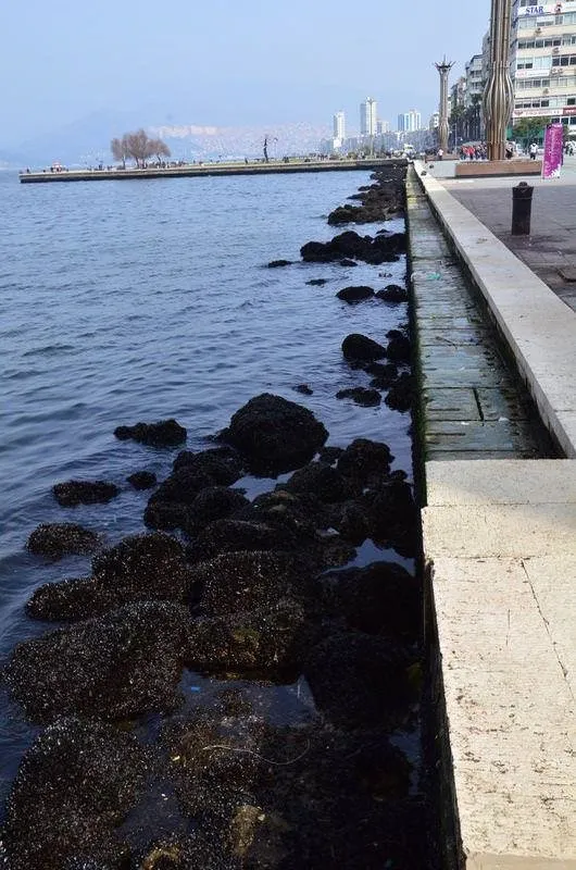 İzmir'de korkutan çekilme