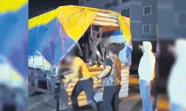 Türkiye düzensiz göçe duvar oldu