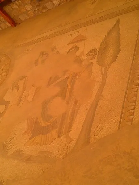 İnsanlık tarihi yeniden yazılacak