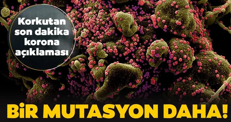 SON DAKİKA | Corona virüs mutasyonu hakkında flaş açıklama! İkinci bir varyantı tespit edildi