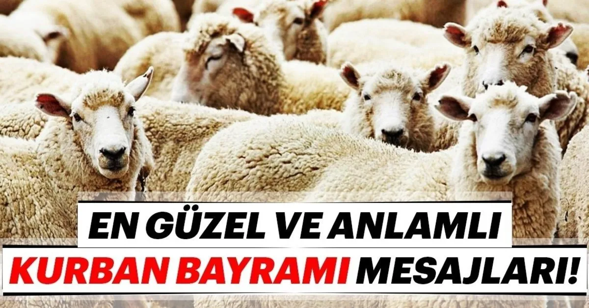 2019 resimli kurban bayrami kutlama