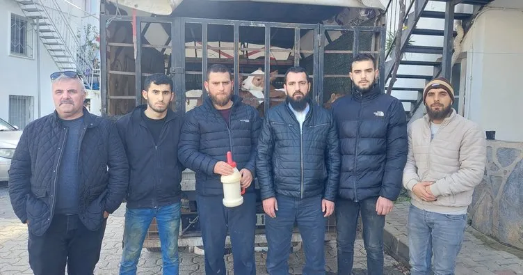 Bodrum’da buzağı satan gençlere tuzak! 6 şüpheli tutuklandı