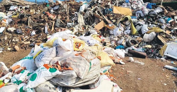 Çevre katliamına 3.7 milyon lira ceza