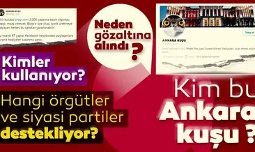 Ankara Kuşu hesabının sahibi Oktay Yaşar dün gözaltına alınmıştı! Kim bu Ankara Kuşu?