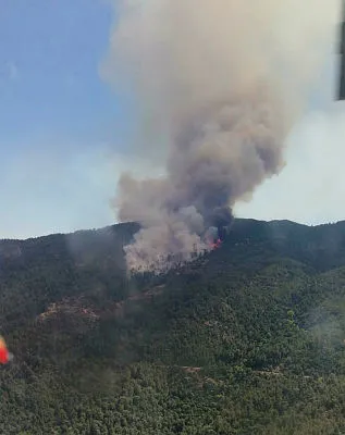 Son dakika: Haberler peş peşe geldi! İstanbul, İzmir, Gaziantep, Aydın ve Balıkesir'de yangın çıktı! Müdahale sürüyor...