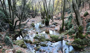 Rüyada suya dalmak ne anlama gelir?