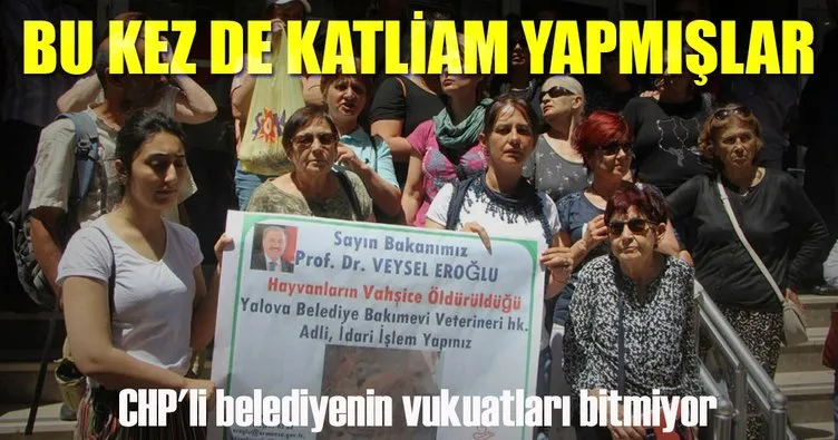 CHP’li belediyeye barınakta katliam cezası