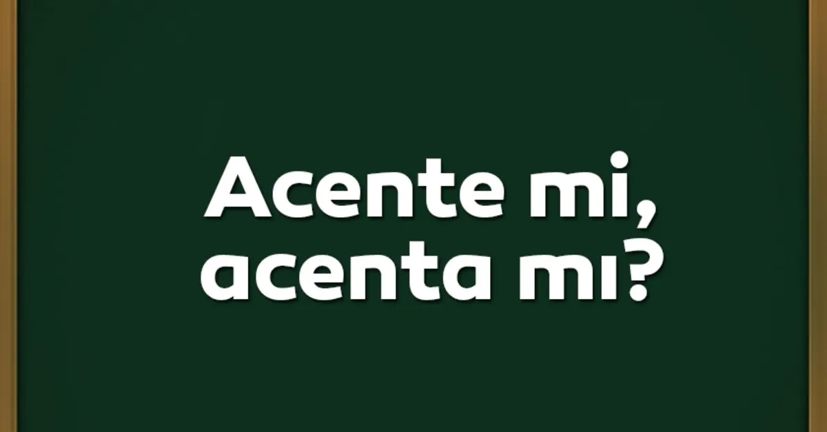 acenta mi acente mi tdk