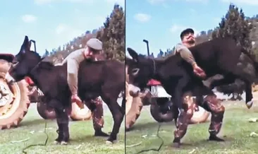 Eşekle idman kemer getirdi