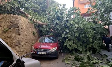Fırtına İstanbul’da ağaçları ve direkleri yan yatırıp zor anlar yaşattı #istanbul