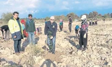 Kaş’ta ilk sakız ormanı kuruluyor