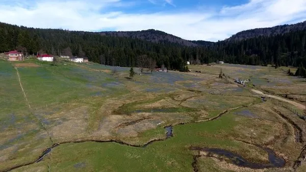 'Mor yayla'ya ziyaretçi akını