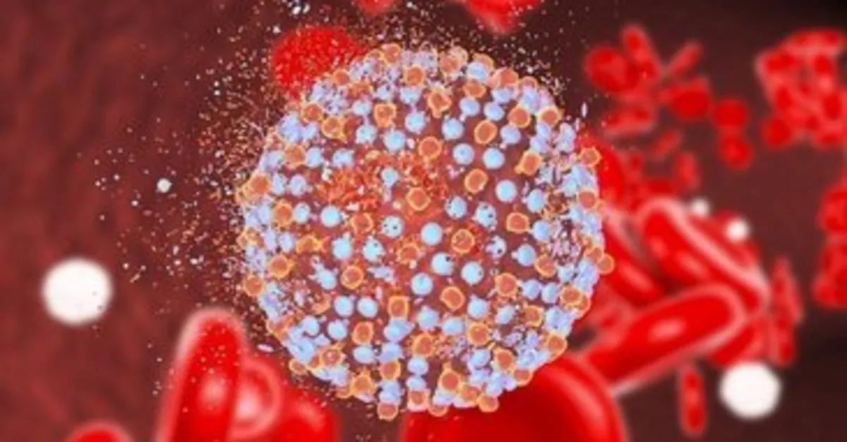 Hepatit A Nedir? Hepatovirüs A Nasıl Bir Hastalığa Sebep Olur? 6 Mitolojiler.com hepatit a nedir belirtileri nelerdir hepatit a nasil bulasir 1575369969006