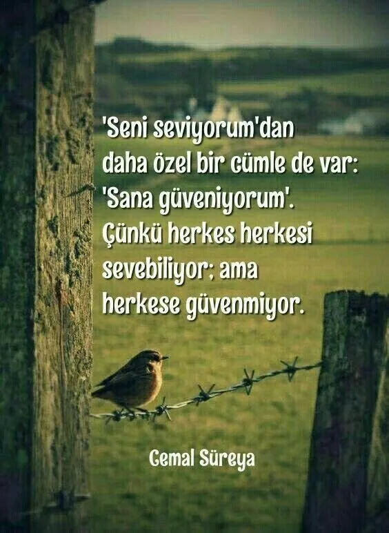 Cemal Sureya Ask Sozler