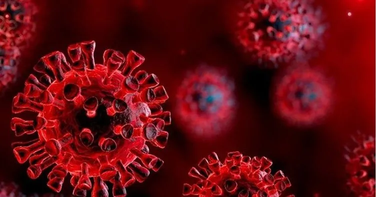 6 Eylül koronavirüs tablosu son dakika açıklandı! Sağlık Bakanlığı 6 Eylül korona tablosu ile Türkiye vaka - vefat sayıları