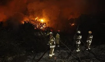 Son dakika: İstanbul Arnavutköy’de orman yangını!