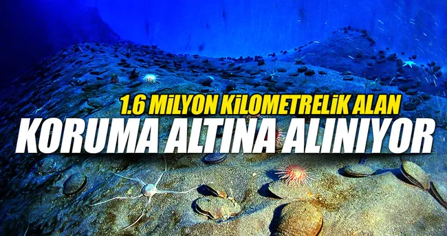 Dünyanın en bakir ekosistemi artık korumada