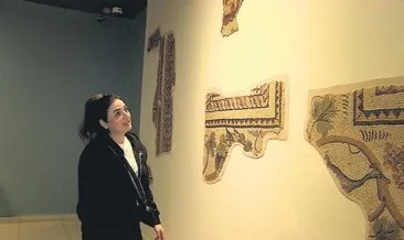 Zeugma Mozaik Müzesi’ni gezdi