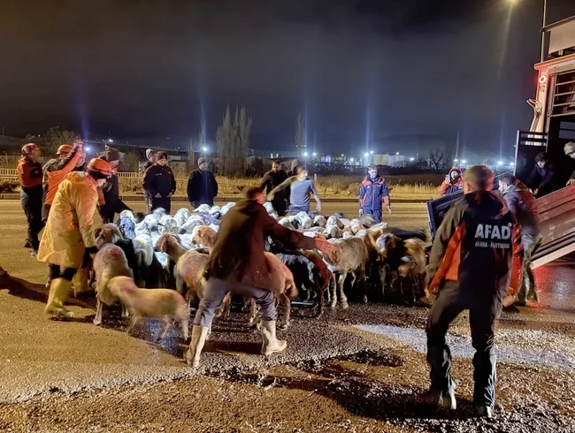 kayseride-sel-alarmi-ahirlar-sular-altinda-kaldi-200-hayvan-kurtarildi-1771483886362.jpg