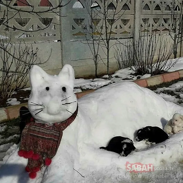 Kar birikintileri ile ’kardan kedi’ yaptılar!