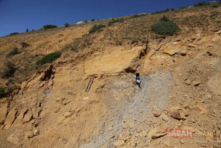 Köylüler yıllardır çıra niyetine yakıyordu! Meğer o madde....