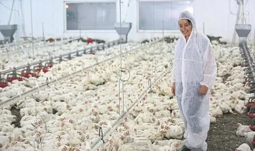 İşlerini bırakıp köye yerleştiler