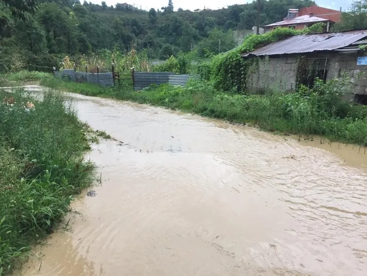 Son dakika: Giresun'da sel felaketi! Önüne kattığı her şeyi götürdü...